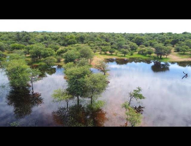 FARM FOR SALE IN MARKEN